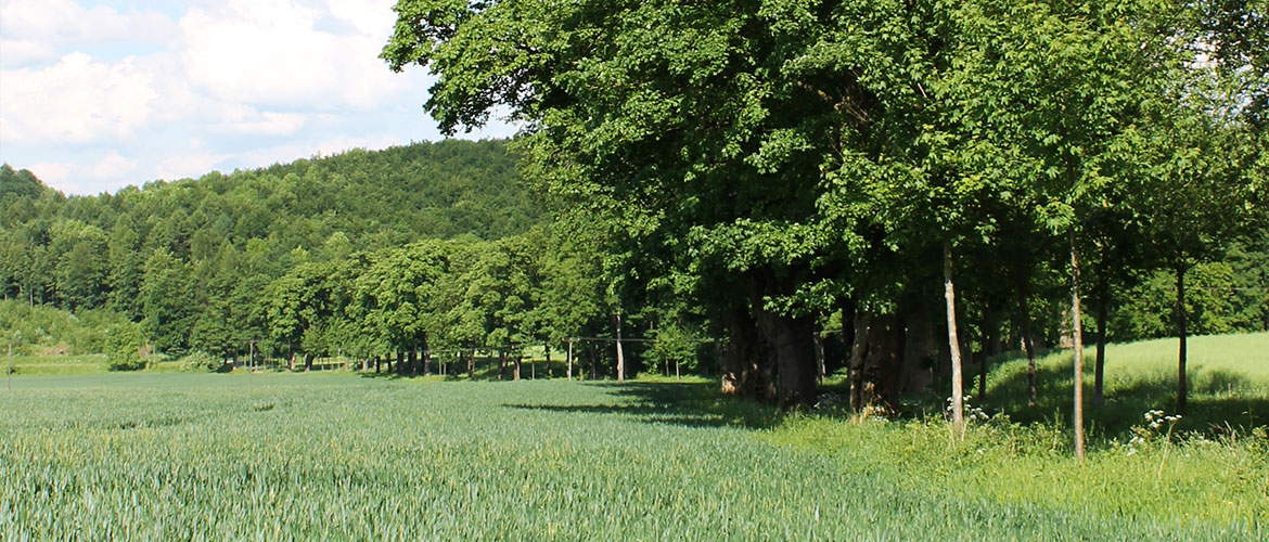 Willkommen auf Gut Almerfeld